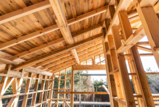 Homanova Uncategorized 137